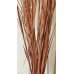 Ornamental Wild Grass (Dried)