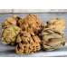 Dried Artichokes - Small