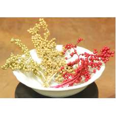 Dried Canella Berries - Canela Decorative Bunch