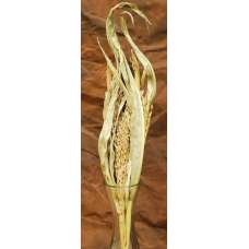 Dried Corn Maize Flowered