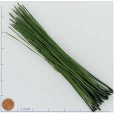 Long Pine Needles - Pine Straw