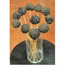 Dried Ata Fruit Pod - Stemmed