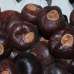 Horse Chestnuts - Large/Small Size Hourse Chest Nuts