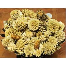 Bleach Assorted Pine cones
