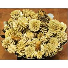 Bleach Assorted Pine cones