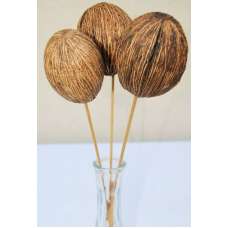 Dried Mintolla Balls (Pods)