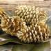 Dried Pinecones Medium Size 3-4 inch