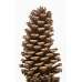 Dried Pinecones Medium Size 3-4 inch