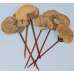 Sponge Mushroom Stemmed or Unstemmed