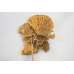 Dried Sponge Mushroom - Stemmed