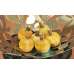 Dried Mini Corn Husk Wild Apples with Stem