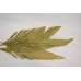 Cut Palm Frond Leaves - Natural