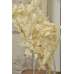 Preserved White Oak Leaves (1 LB dried leaves)