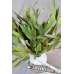 Preserved Willow Eucalyptus Bunch - Green