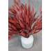 Preserved Willow Eucalyptus Bunch - Red