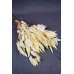 Preserved Willow Eucalyptus Bunch - Bleached White