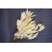 Preserved Willow Eucalyptus Bunch - Bleached White