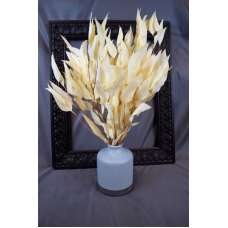 Preserved Willow Eucalyptus Bunch - Bleached White