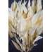 Preserved Willow Eucalyptus Bunch - Bleached White