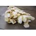 Preserved Populus Eucalyptus Bunch - White