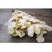 Preserved Populus Eucalyptus Bunch - White