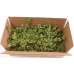 Fresh Mistletoe Boughs Bulk