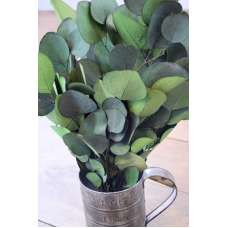 Preserved Populus Eucalyptus Bunch - Green