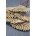 Decorative Burlap Fans - Teddy Fans