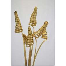 Dried Cane Cones - Gold Painted