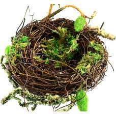 Decorative Bird Nests - Craft Bird Nest