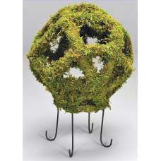 Moss Globe 18