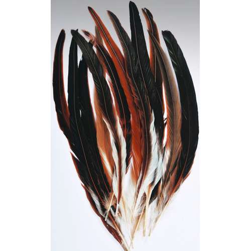 Rooster Feathers For Sale Bulk Feathers Curious Country Creations