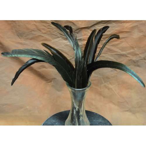 Rooster Feathers For Sale Bulk Feathers Curious Country Creations