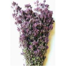 Dried Oregano Flowers Bunch - Santa Cruz