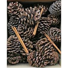 Cinnamon Scented Pine Cones with Cinnamon Sticks