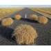 Mechanically Separated Tumbleweed Parts