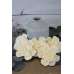 Sola Wood Awaz Flowers