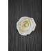 Wood Elena Roses - K10 Rose