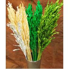 Decorative Mini Oats - Dried