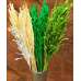 Decorative Mini Oats - Dried
