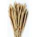 Dried Rattail Millet