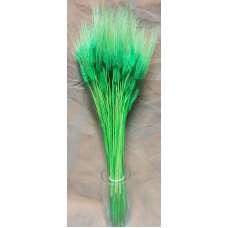 Green Wheat Bundle - Dyed