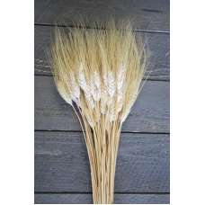 Wheat Stalks Bundle - 8oz blond