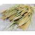 Dried Foxtail Millet