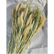 Dried Foxtail Millet