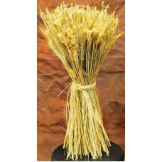 Mixed Grain Wheat Bundle 2