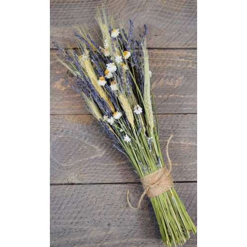 Dried Pearly Everlasting Flower Bunch