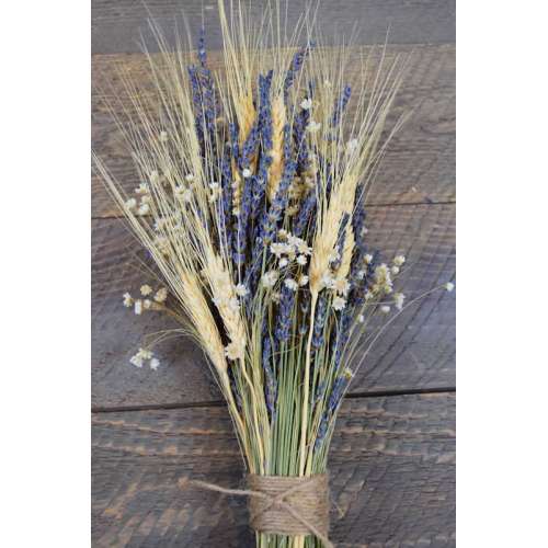 Dried Dark Blue Larkspur Flowers For Sale