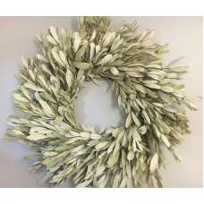 Natural Integrifolia Wreath - 17 or 24 inches