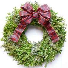 Fresh Juniper/Boxwood Holiday Wreath